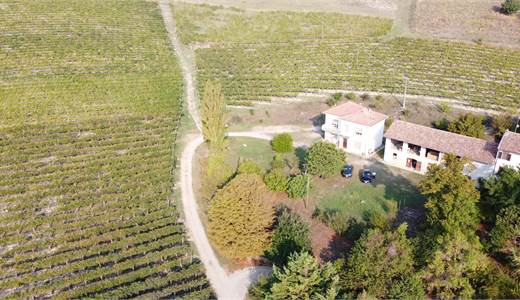 NELLE COLLINE DI NIZZA MONFERRATO, UNA PROPRIETÀ DA VIVERE TRA VIGNE, NATURA E TRADIZIONE